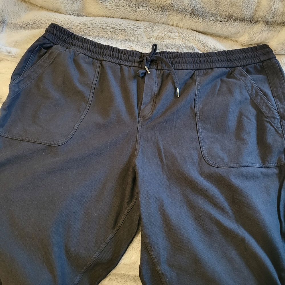 Athleta Plus Size Farallon Jogger Pants, Size 26 - Picture 4 of 13